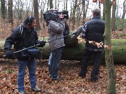 NDR und Pilze_1