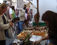 Pilze auf dem Wochenmarkt_1