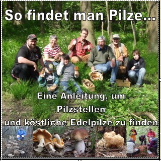 Pilzstellen_1