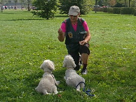Trffelhundeausbildung