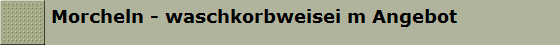 Morcheln - waschkorbweisei m Angebot 