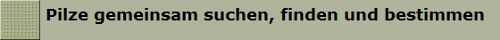 Pilze gemeinsam suchen, finden und bestimmen