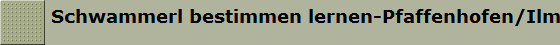 Schwammerl bestimmen lernen-Pfaffenhofen/Ilm
