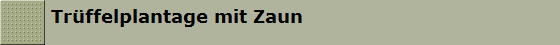 Tr�ffelplantage mit Zaun
