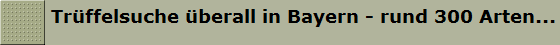 Trffelsuche berall in Bayern - rund 300 Arten...