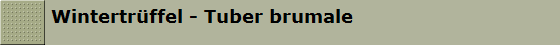 Wintertr�ffel - Tuber brumale