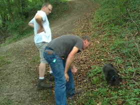 Mischling auf Trffelsuche_1