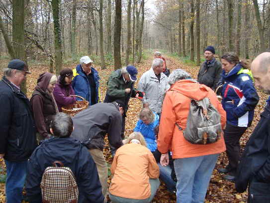 Pilzbegutachtung im Vluynbusch_1 Pilzbegutachtung im Vluynbusch_1