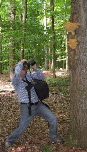 Schleswig-Holstein_1