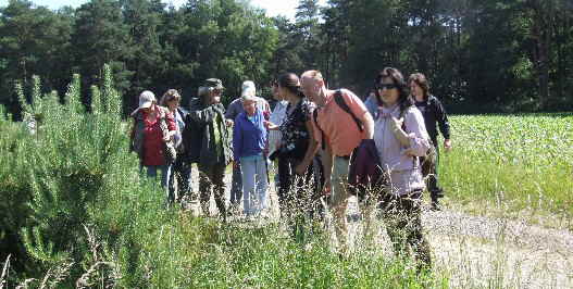 Schönes Wetter - wenig Pilze_1 Schönes Wetter - wenig Pilze_1