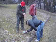 Trffelbumchen - Nachimpfen_1