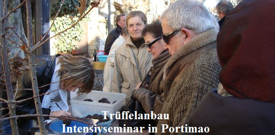 Tr�ffelmarkt_1