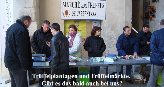 Trffelmarkt_1