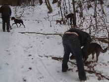 Trffelsuche im Schnee_1