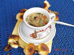 Winterpilze - Suppe_1